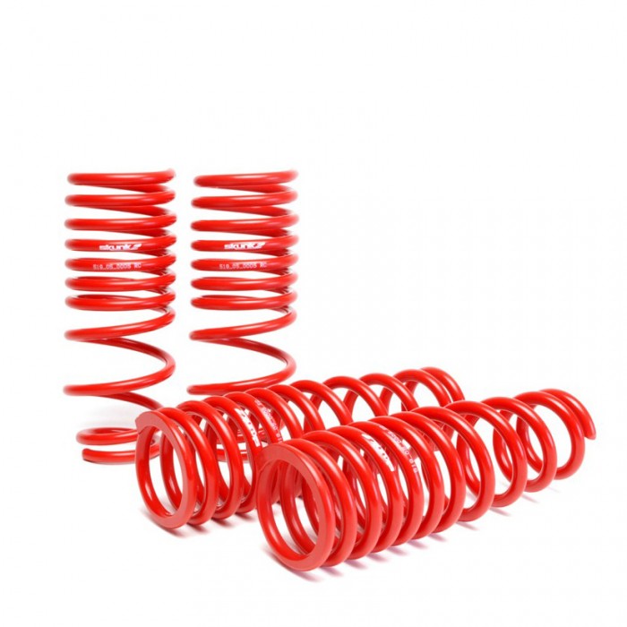 SKUNK2 LOWERING SPRINGS 96-00 HONDA CIVIC EK