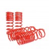 SKUNK2 LOWERING SPRINGS 90-97 HONDA ACCORD