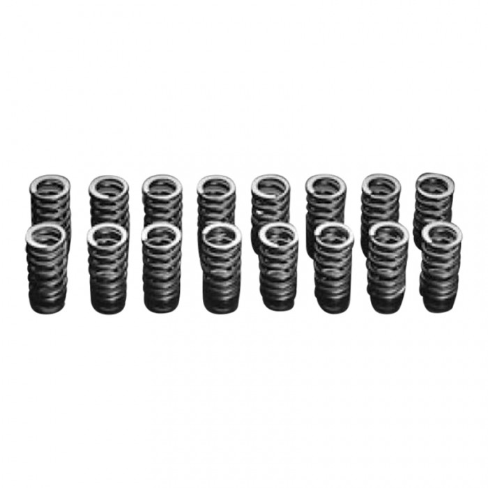 HKS Valve Spring Kit Nissan Skyline GT-R